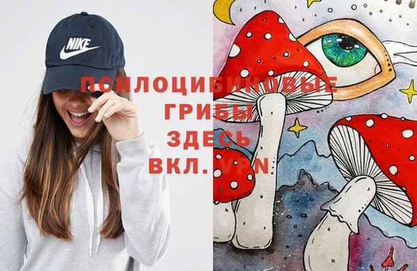 таблы Россошь