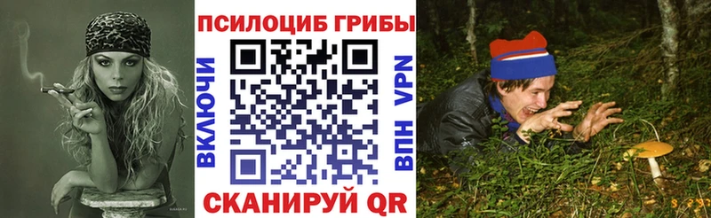 Купить где  Южно-Сухокумск  Псилоцибиновые грибы Cubensis 